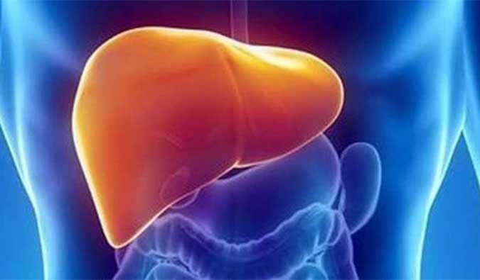 【beats365助力】NASH领域新进展！海普丁HPD001即将在美启动临床试验