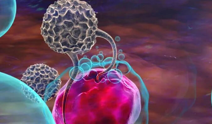 肿瘤免疫药效模型.jpg 肿瘤免疫药效模型.jpg