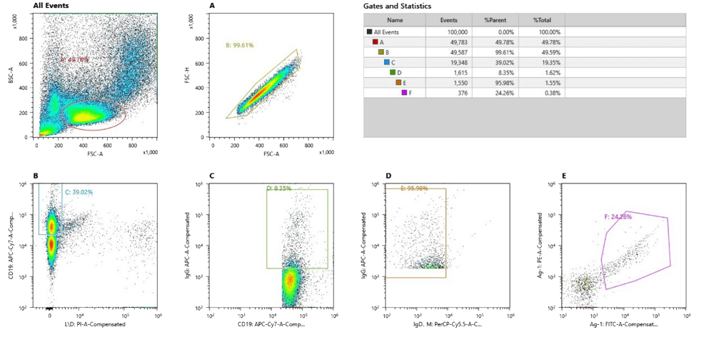 Nectin-4 (4-1) Sorting Single B Cell.webp Nectin-4 (4-1) Sorting Single B Cell.webp
