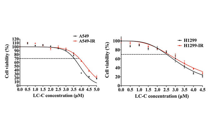 放射疗法用作肺癌的主要治疗方法，本研究中建立抗电离辐射肺癌细胞系的放射治疗通过beats365进行