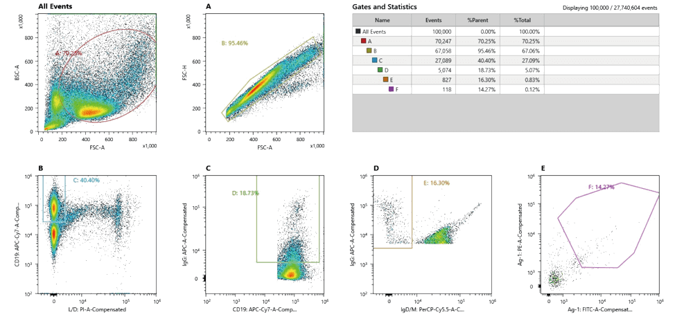 Nectin-4 (4-6) Sorting Single B Cell).webp Nectin-4 (4-6) Sorting Single B Cell.webp
