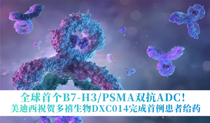 全球首个B7-H3/PSMA双抗ADC！beats365祝贺多禧生物DXC014完成首例患者给药